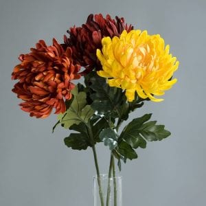 chrysantimum asstd yellow/orange 72 cm