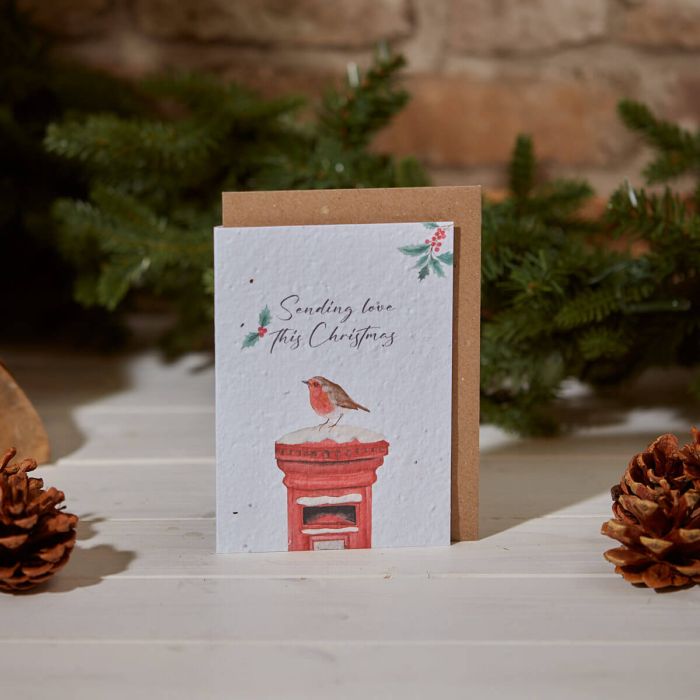 XMAS SEED CARD ROBIN & POSTBOX