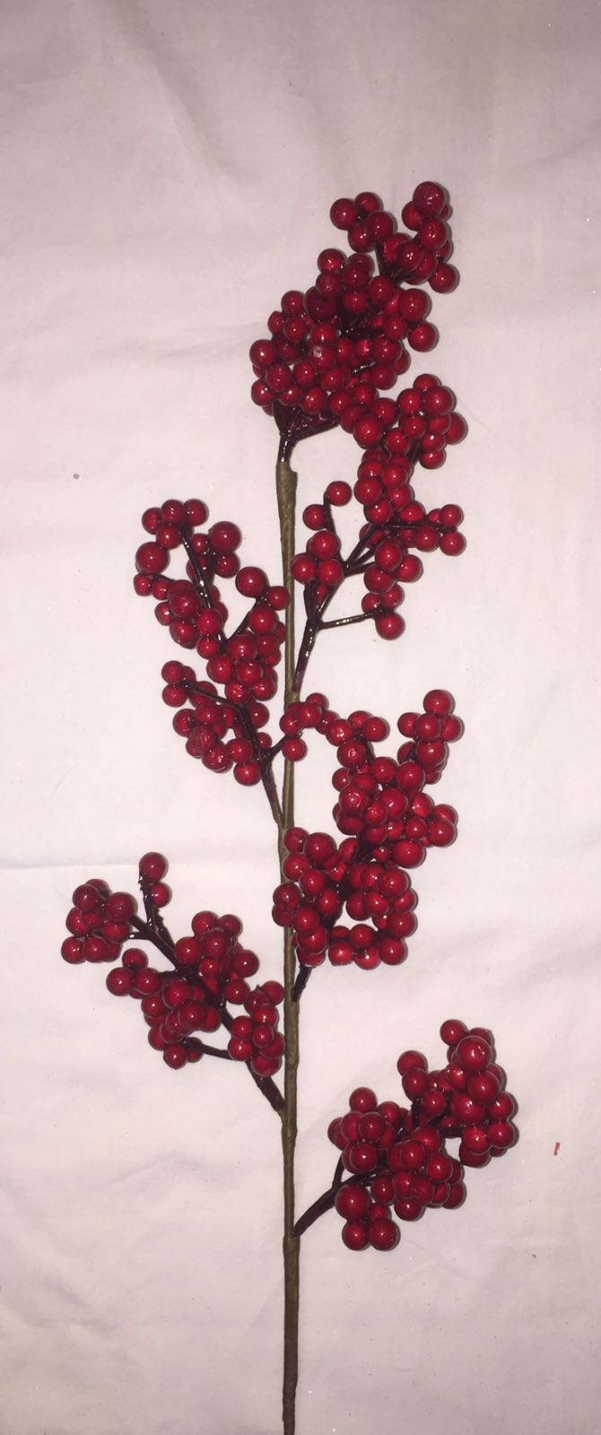 Pick,red Berries Large