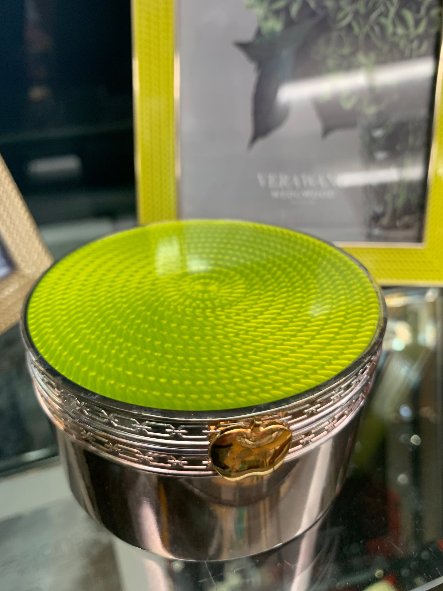 Vera Wang Treasures Green Box
