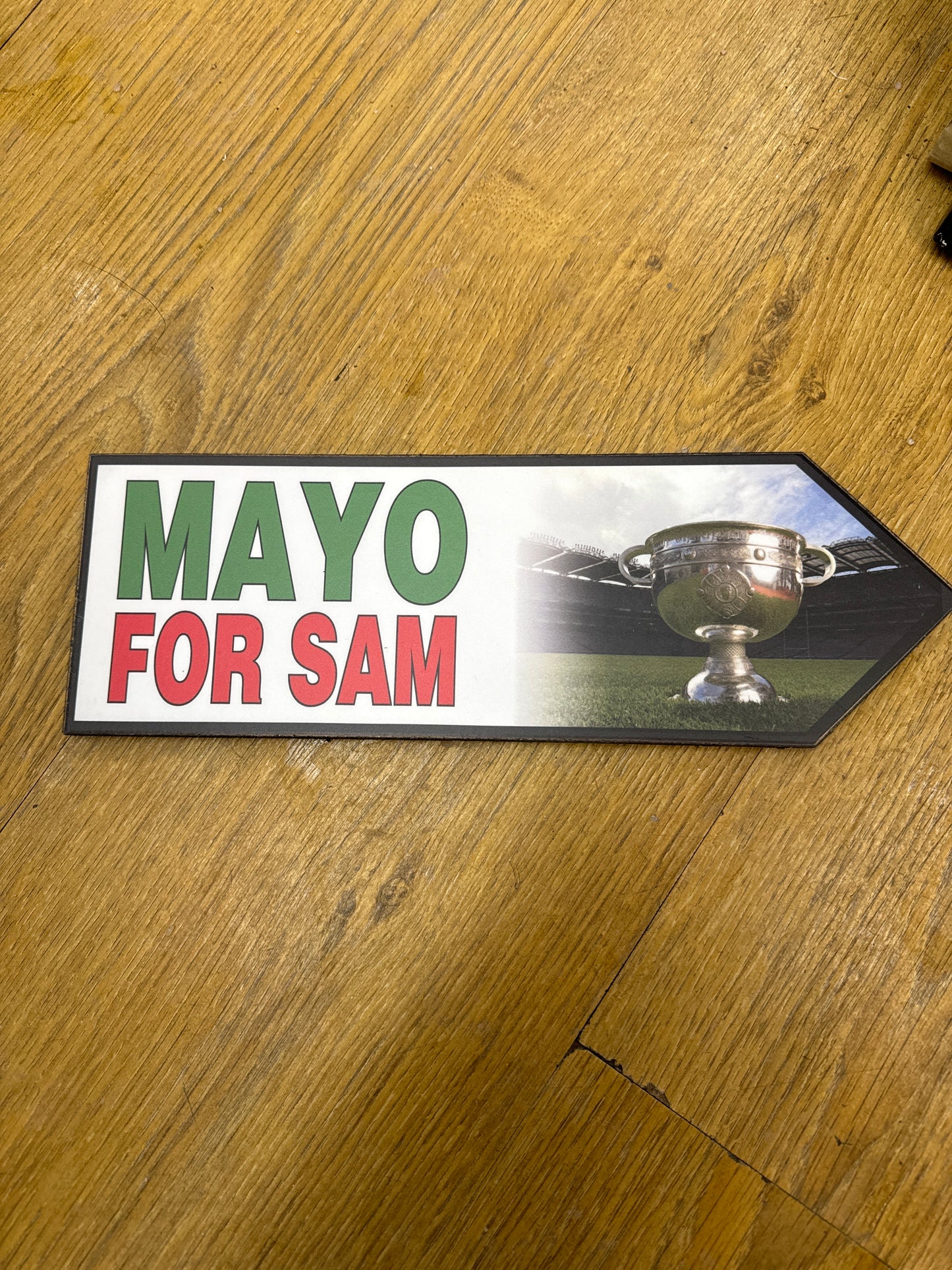 MAYO FOR SAM WOODEN PLAQUE ROAD SIGN