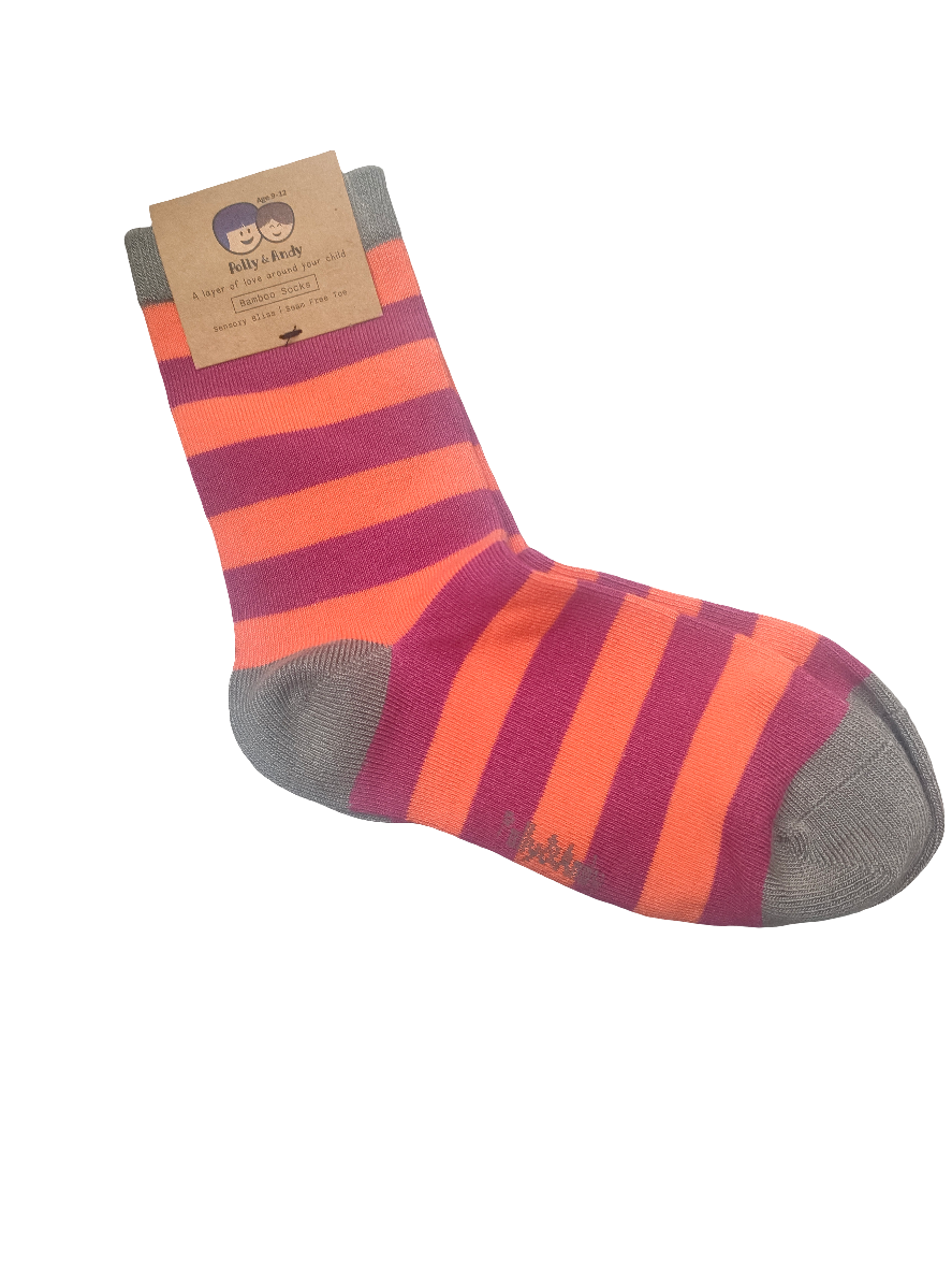 Polly & Andy Bamboo Socks Grey, Orange & Purple Age 0-1