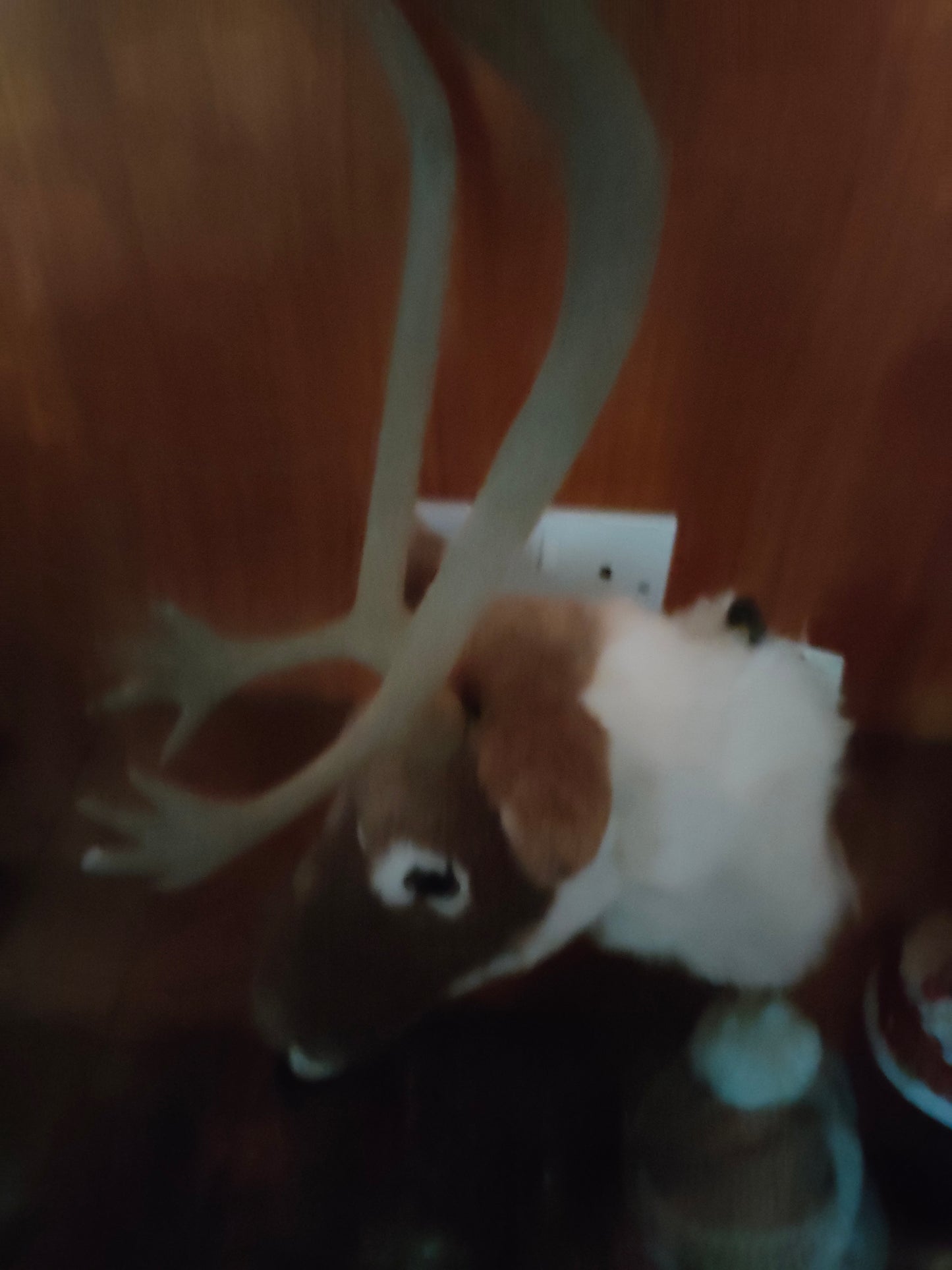 Gisela Graham Reindeer