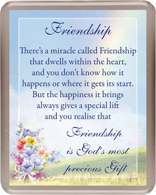 acrylic fridge magnet / friendship