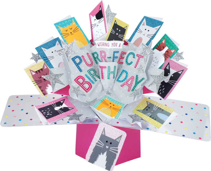 General Birthday Pop up Card Cats