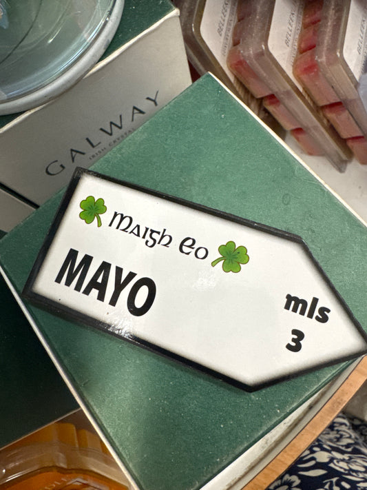 Road Sign Magnet Mayo