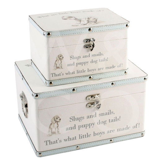 Petit Cheri Little Boys Set of 2 Luggage Large Boxes