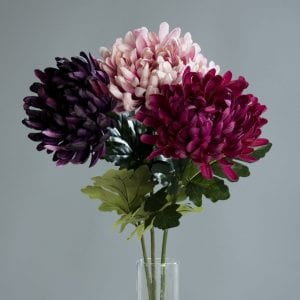 Chrysantimum asstd purple/fucshia 72cm