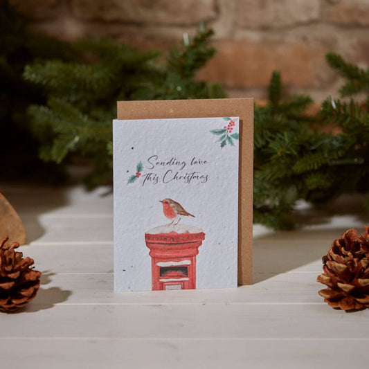 XMAS SEED CARD ROBIN & POSTBOX