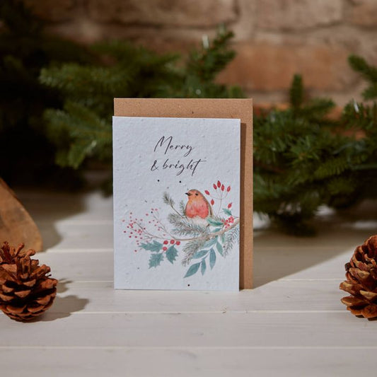 XMAS SEED CARD ROBIN ON BRANCH