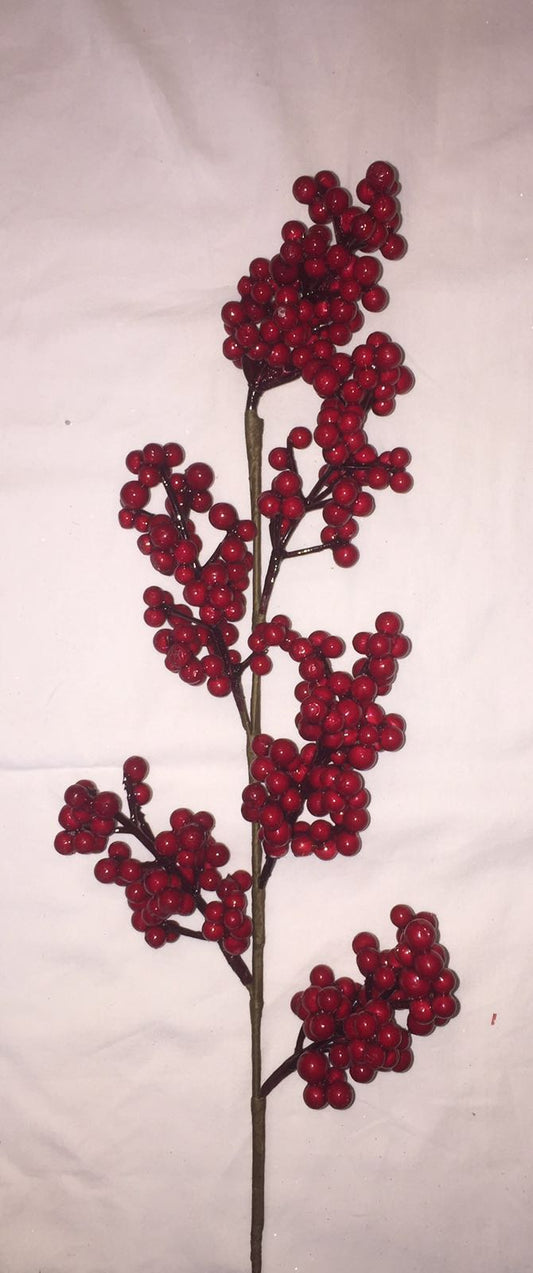 Pick,red Berries Large