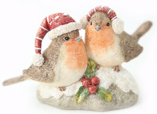 Two robins on branch