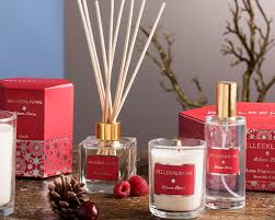 WINTER BERRY 100ML DIFFUSER
