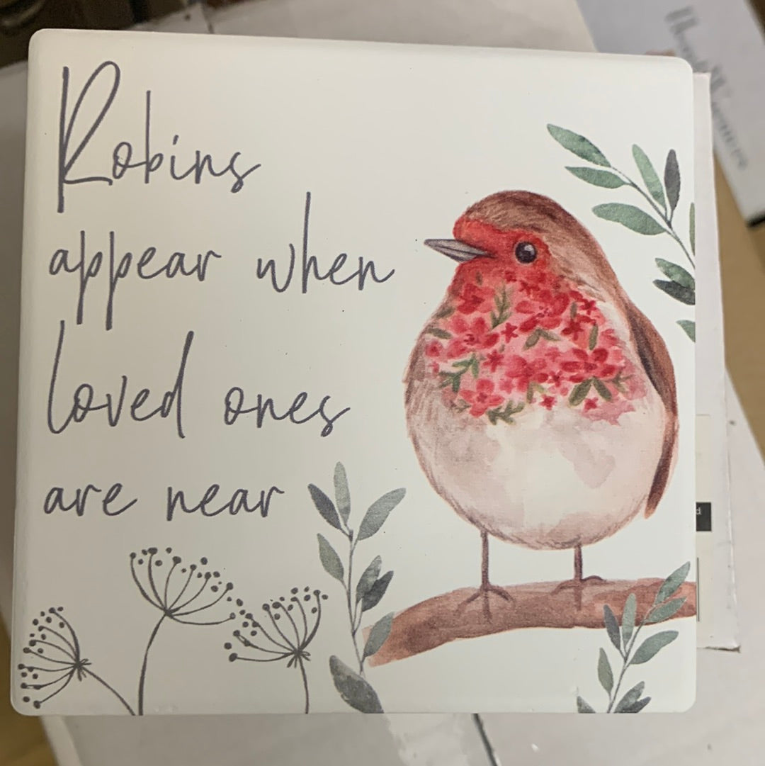 ROBIN CERAMIC CSTR
