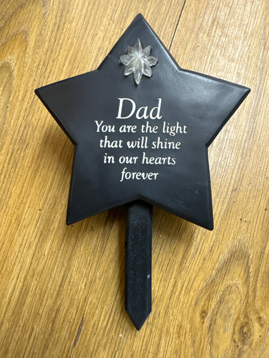 Thoughts of You Dad Solar Light Up Plaque