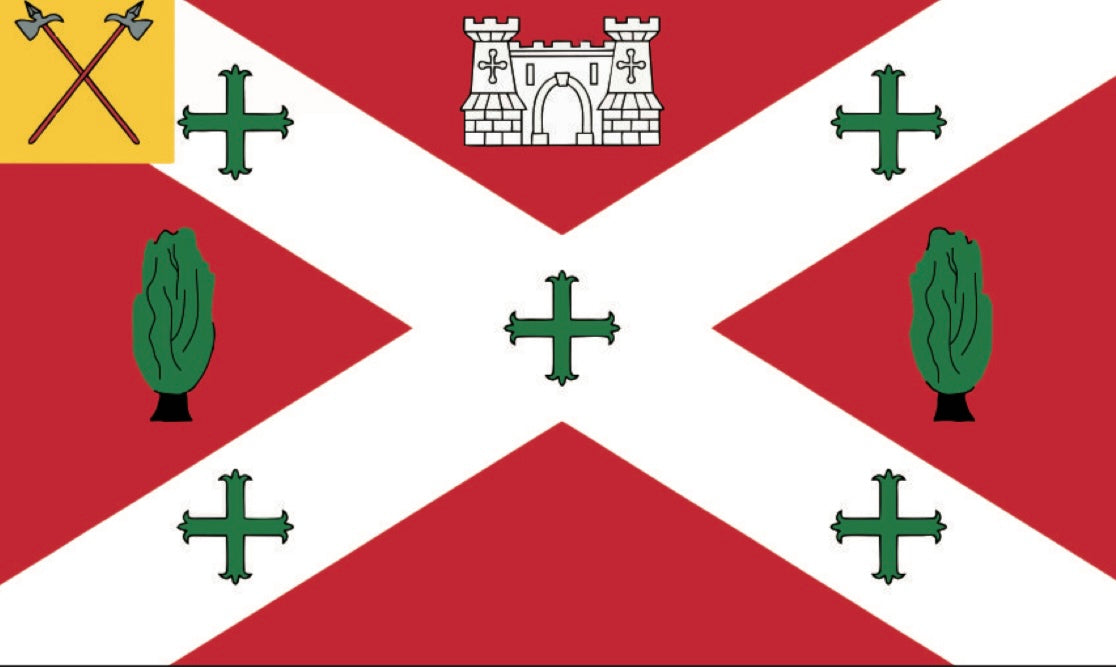 Castlebar Flag 5x3
