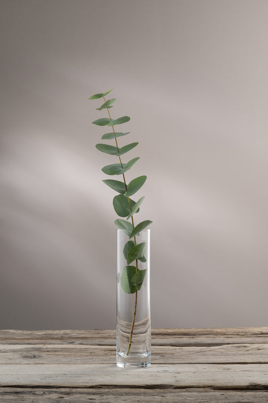 Pillar Vase 9.5" Stem Vase