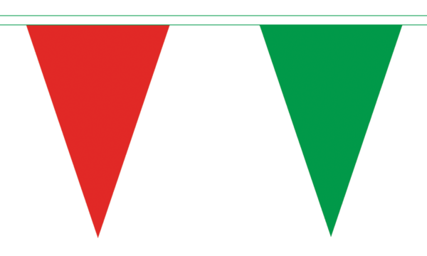 Mayo Bunting