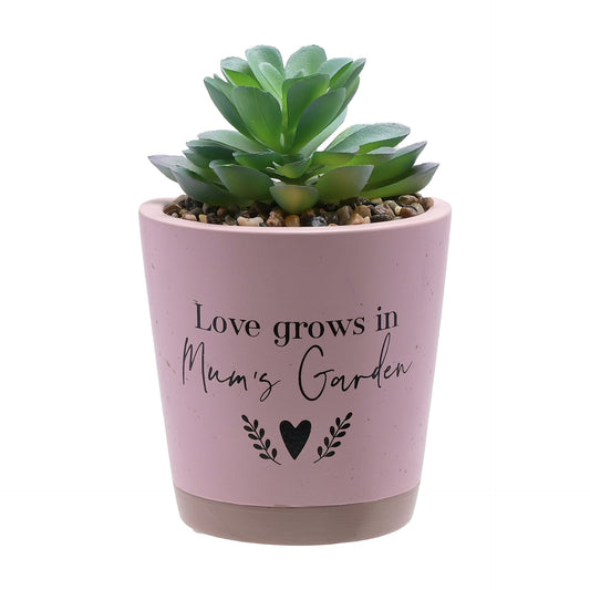 Moments Faux Succulent Mum's-Garden