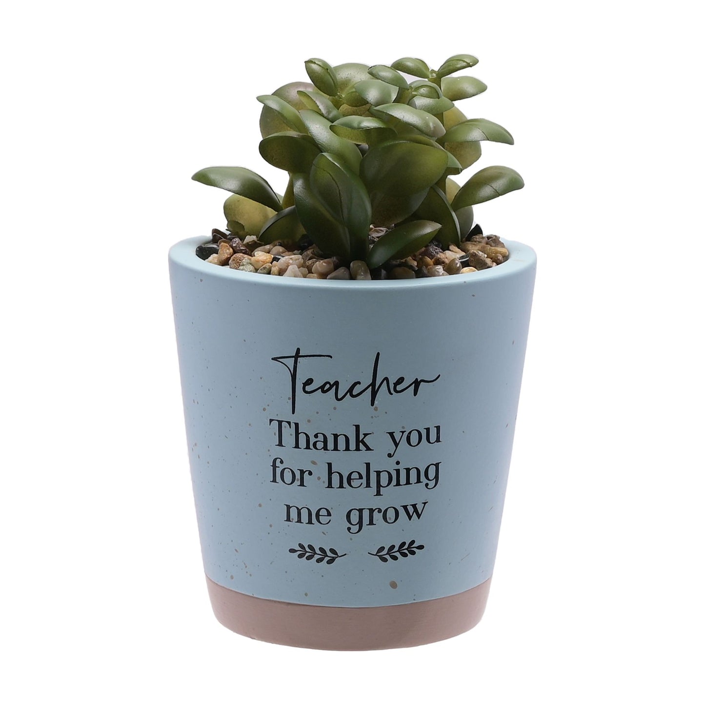 Moments Faux Succulent Teacher