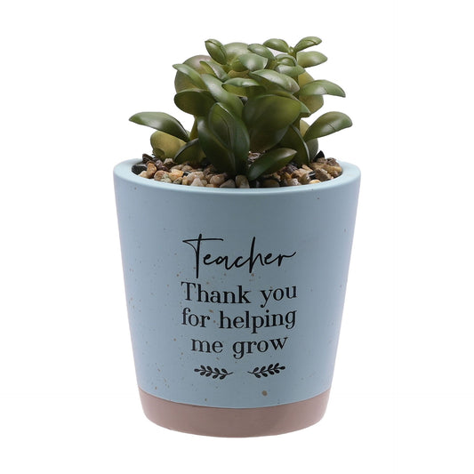 Moments Faux Succulent Teacher