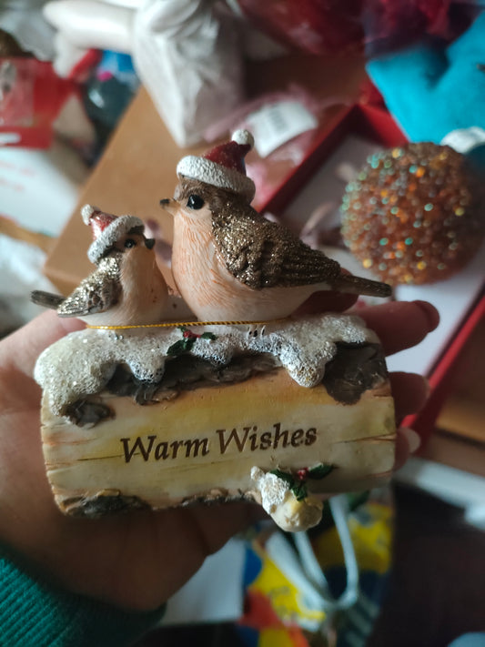 Quirky & Original Robin Pair Warm Wishes