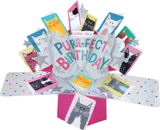 General Birthday Pop up Card Cats