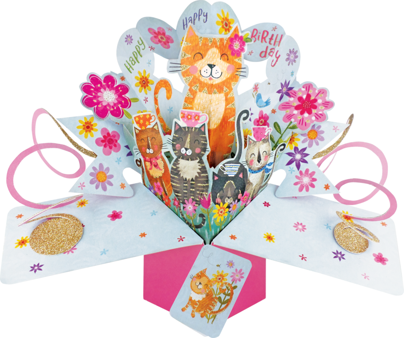 General Birthday Pop up Card Cats Pink