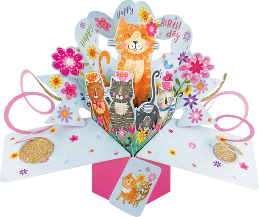 General Birthday Pop up Card Cats Pink